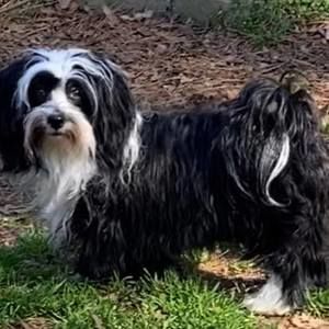 Meet your Posher, Michele